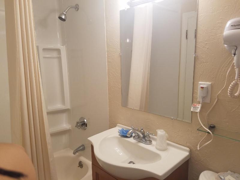 Deluxe One-Bedroom Suite image 3