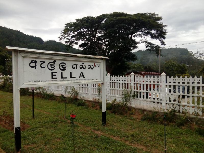 Jace Ella - image 5