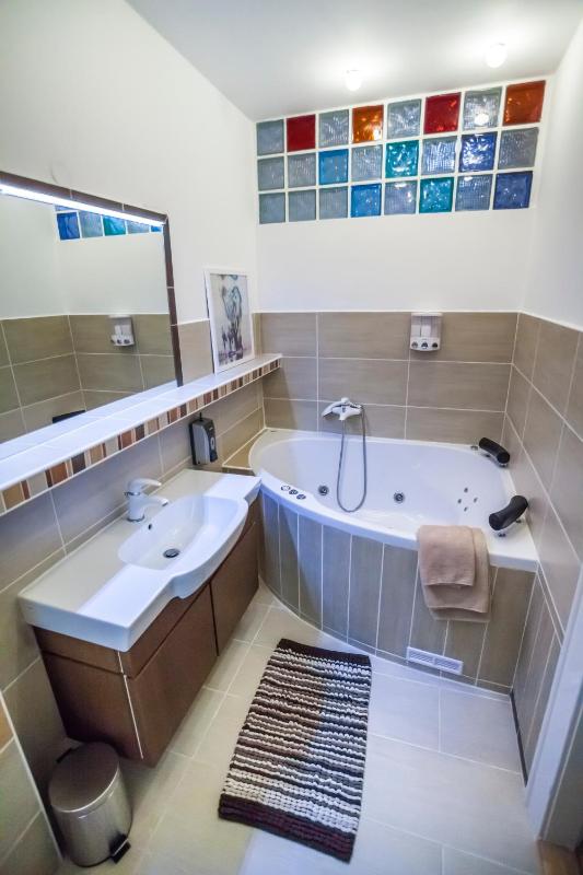 Luxury Air-Conditioned rooms in Old Town Bratislava - image 12