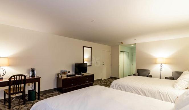Standard Queen Room with Two Queen Beds image 3