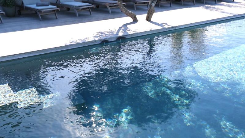Superior Villa image 4