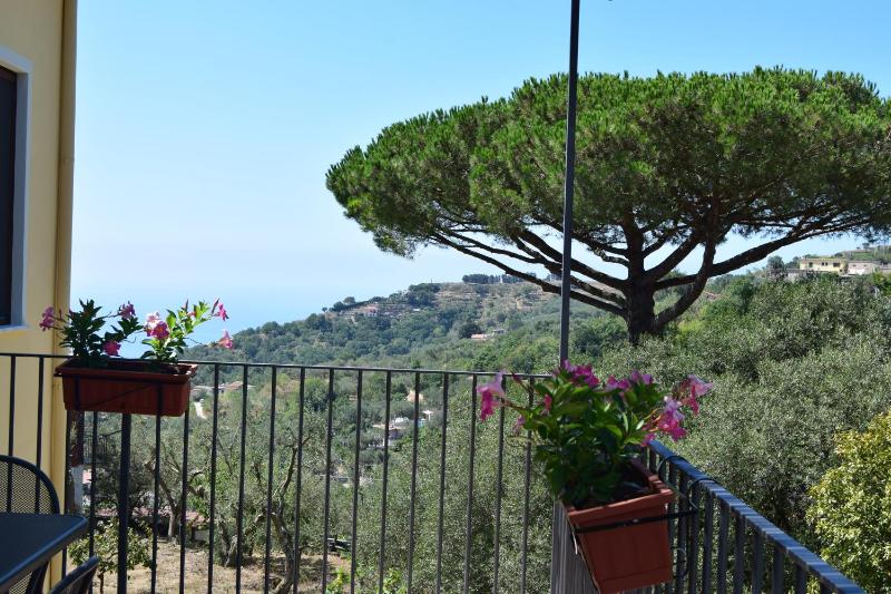 Fondo Santa Lucia - image 10