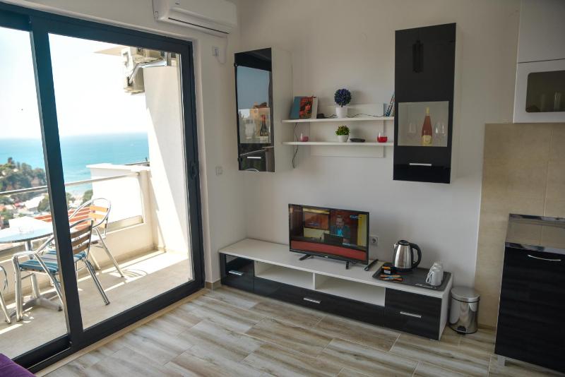 One-Bedroom Apartment image 4