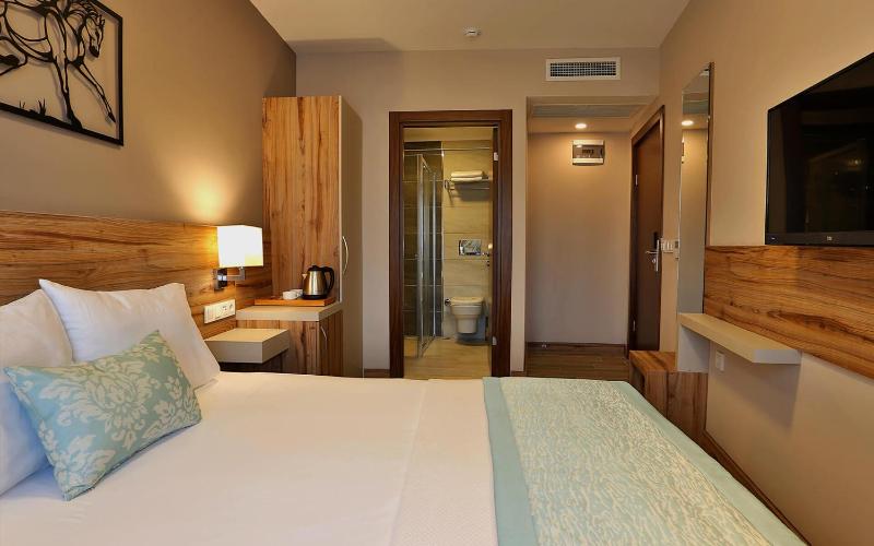 Standard Double Room image 4