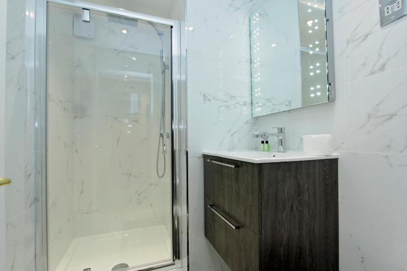Studio Apartment image 4