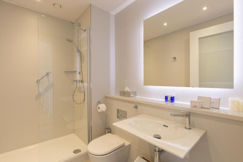 Superior One Bedroom Apartment image 3
