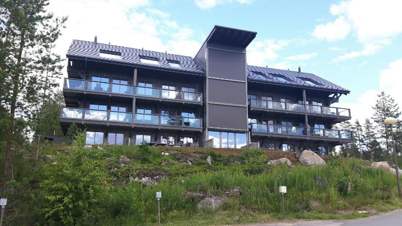 Superior Apartment with Sauna image 3