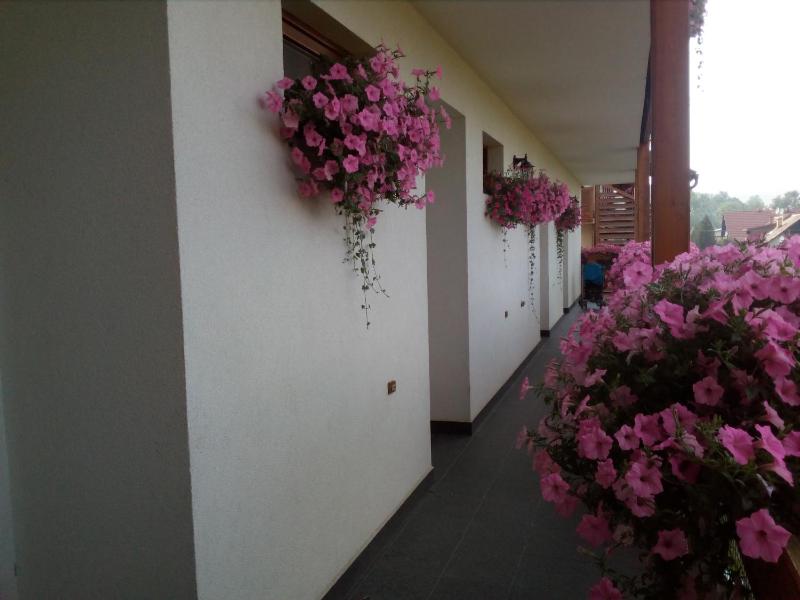 Ski & Sun Wellness Apartments - image 12