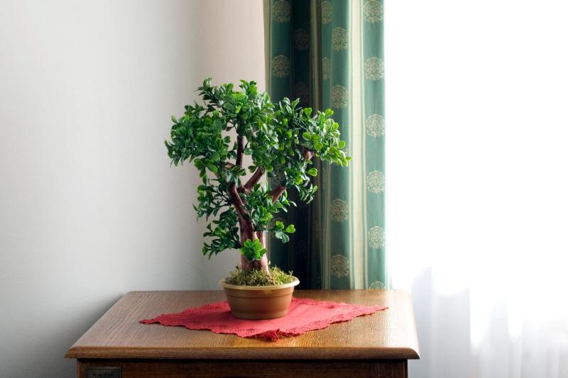 Suite image 2