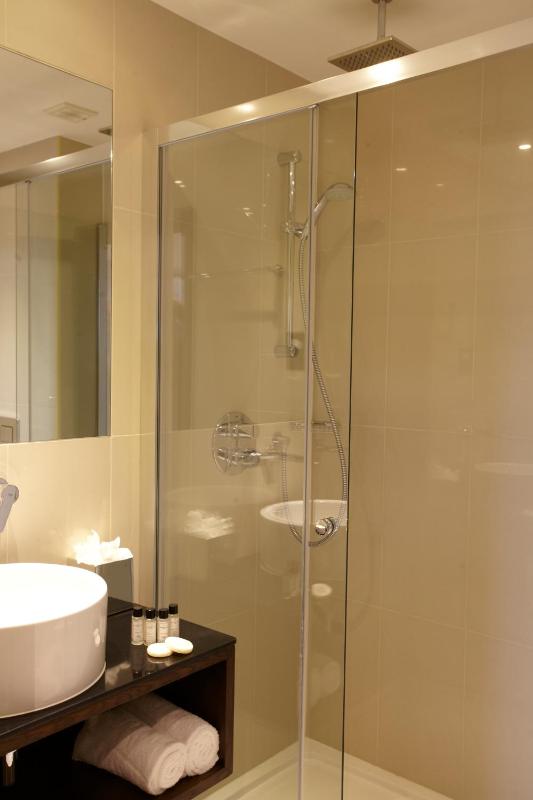 Deluxe Single Room image 3