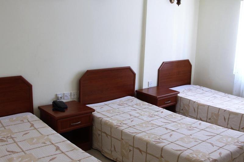 Standard Triple Room image 3