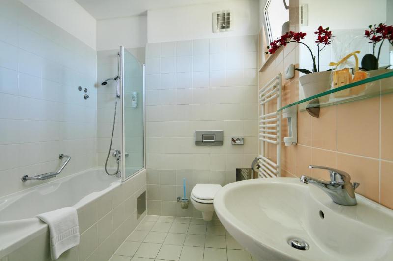 One-Bedroom Apartment with Sofa Bed image 2