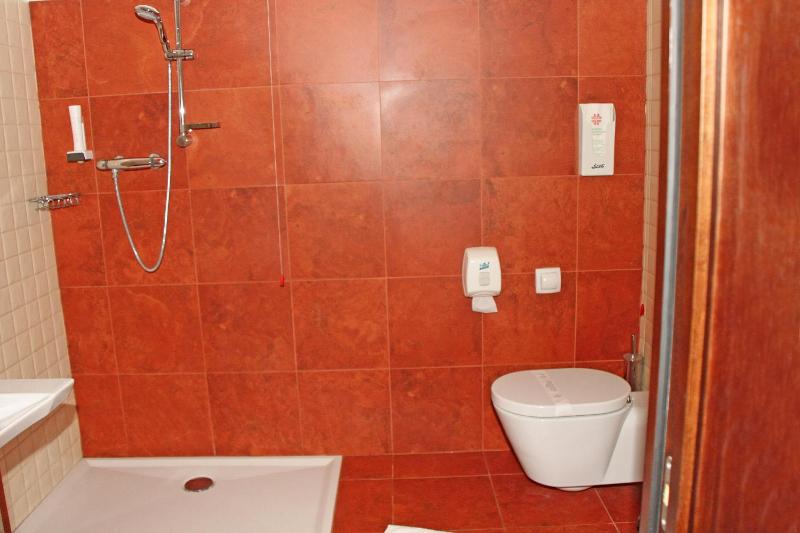 Double or Twin Room image 4