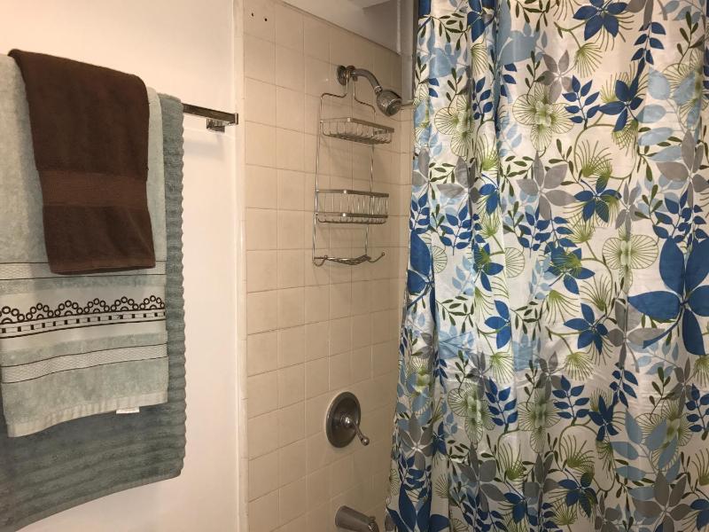 One-Bedroom Apartment image 3