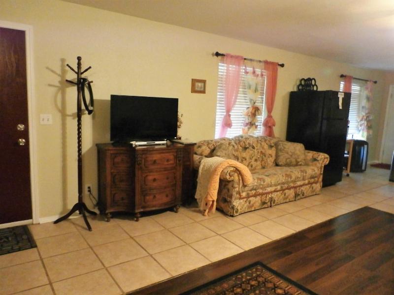 One-Bedroom Apartment image 3
