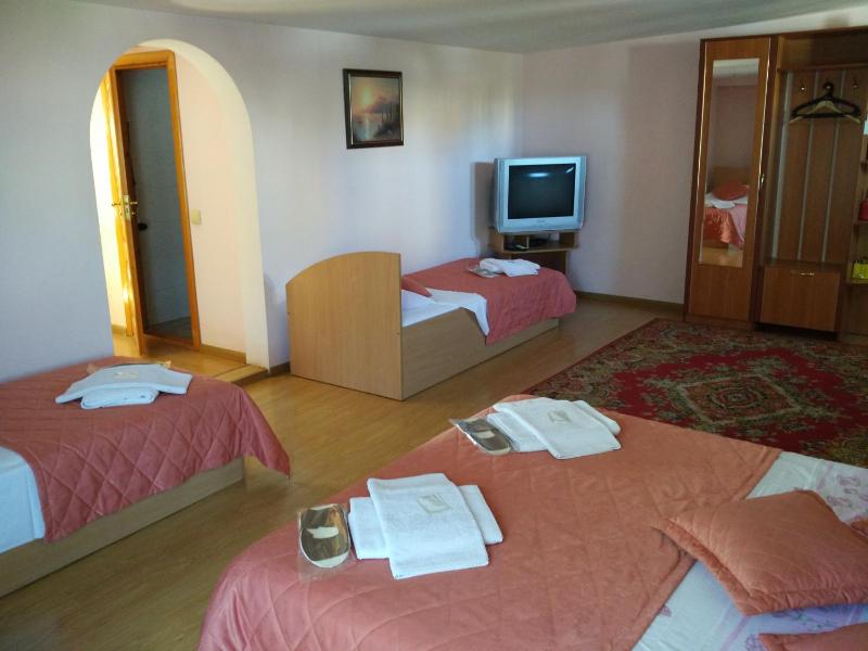 Family Room image 2