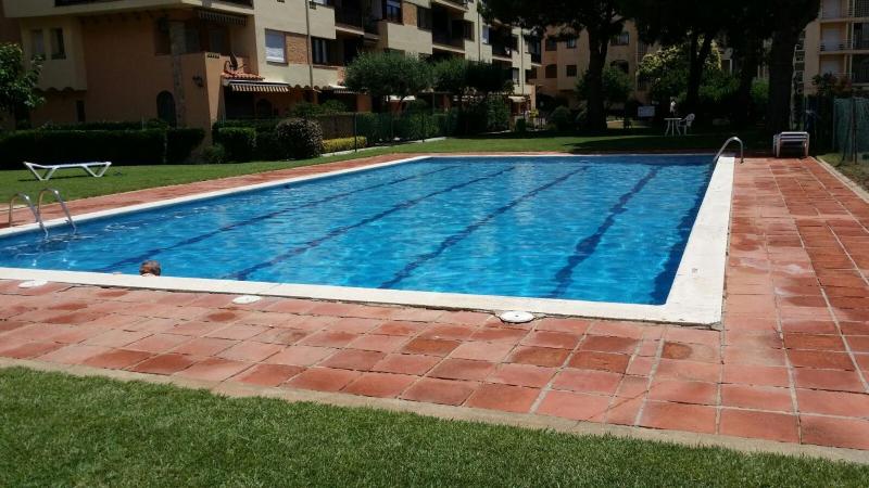 028 Gran Reserva - image 8