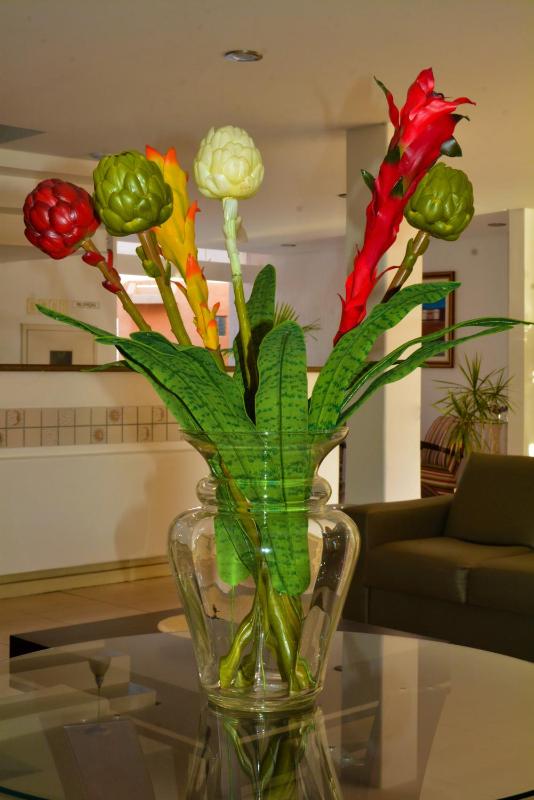 Hotel Terra do Sol - image 4