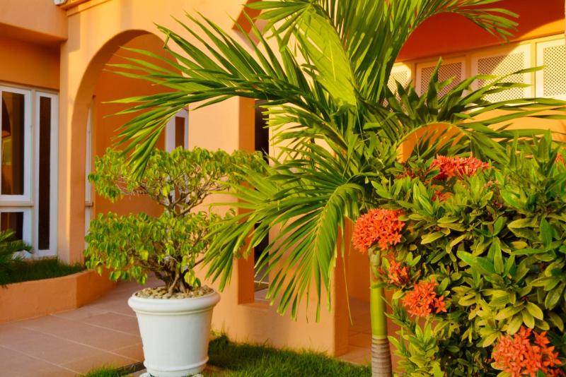 Hotel Terra do Sol - image 32
