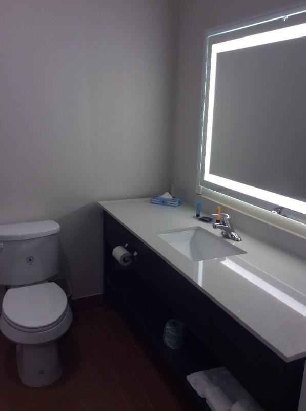 Deluxe Queen Studio with Two Queen Beds and Sofa - Non-Smoking image 4