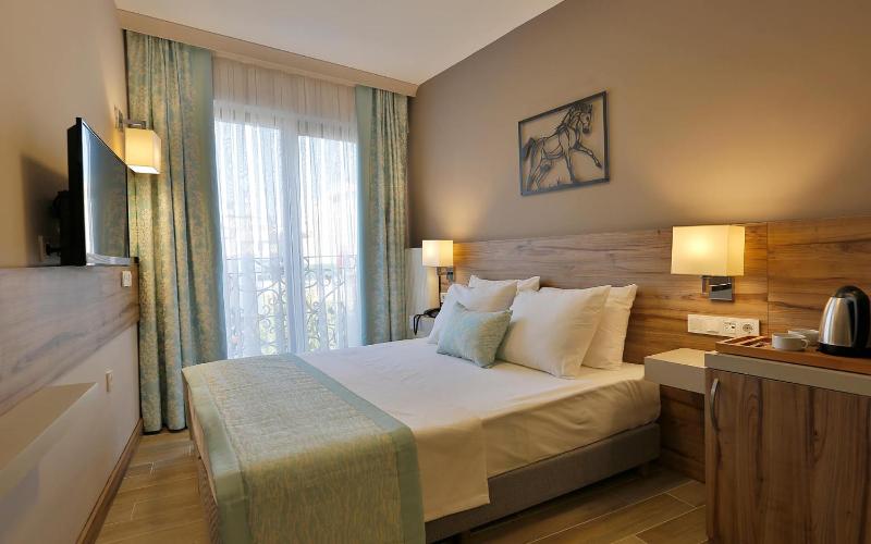 Standard Double Room image 3
