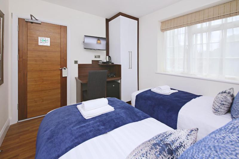 Deluxe Twin Room image 4