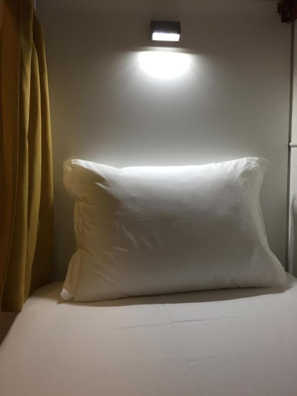 Bunk Bed in Male Dormitory Room  image 1