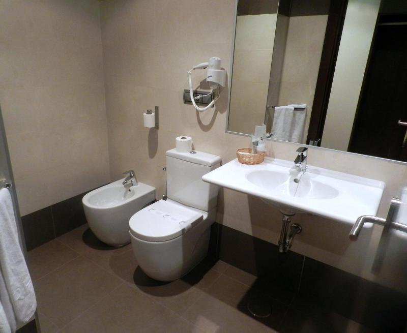 Double or Twin Room image 4