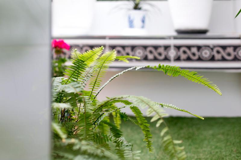 Double or Twin Room with Courtyard View image 4