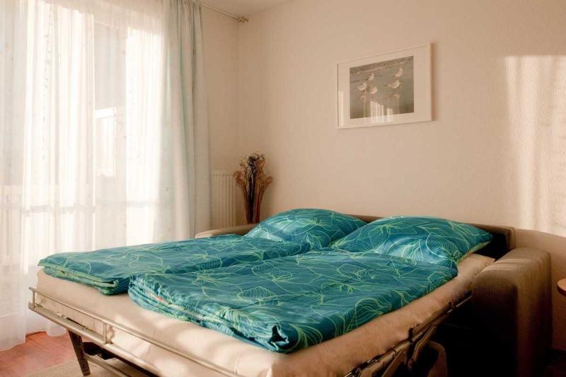 Apartment with Terrace image 2