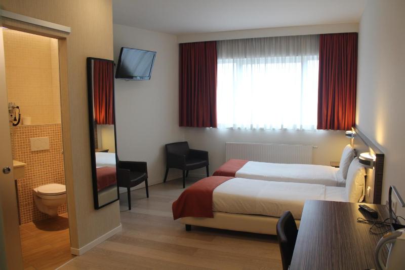 Standard Twin Room image 1