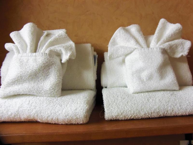 Rosslyn Inn & Suites - image 23