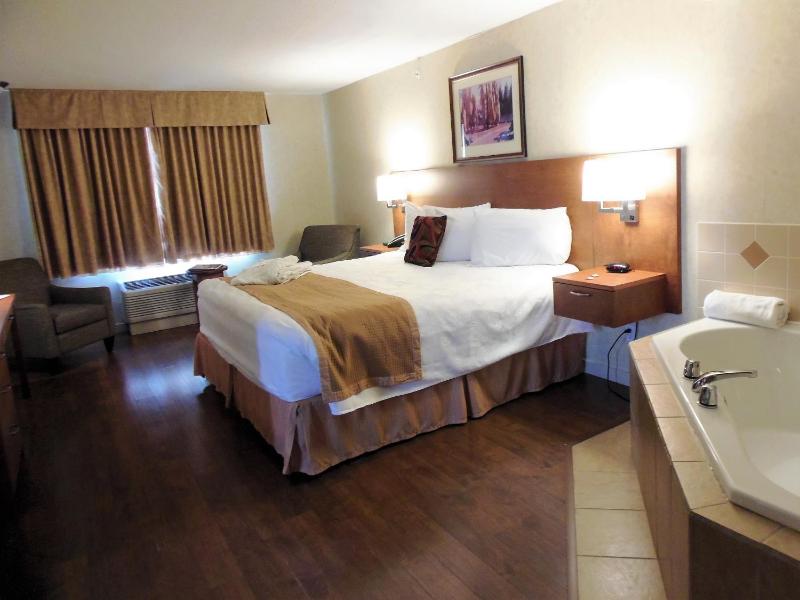 Rosslyn Inn & Suites - image 30