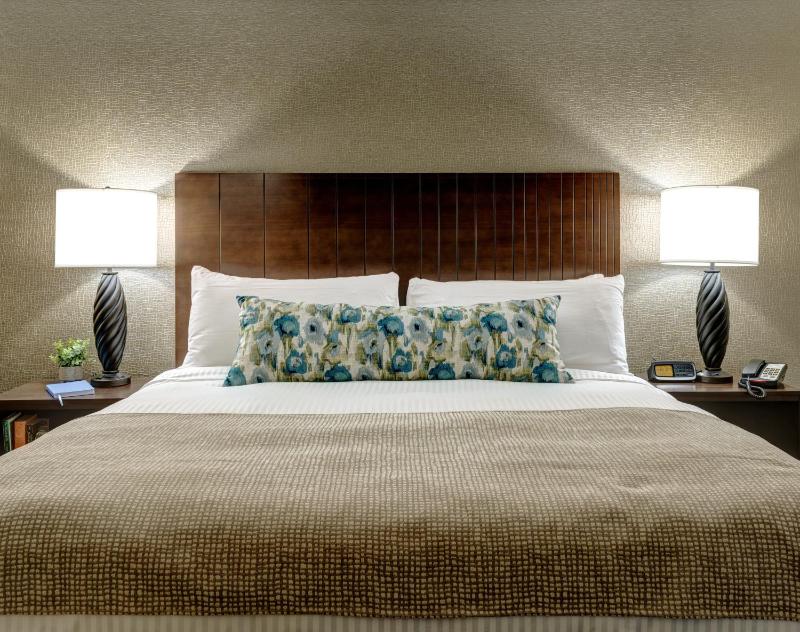 King Room - Accessible/Non-Smoking image 3