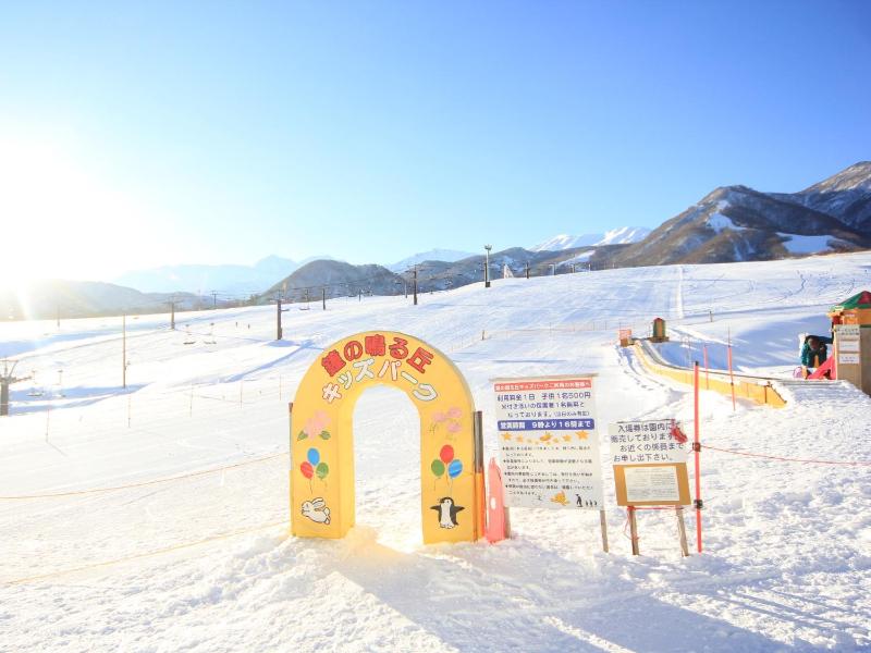 Hakuba Tsugaike Sunrise Tanne - image 19