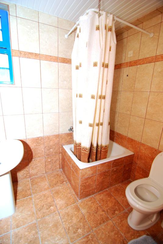 One-Bedroom Apartment (5 Adults) image 3