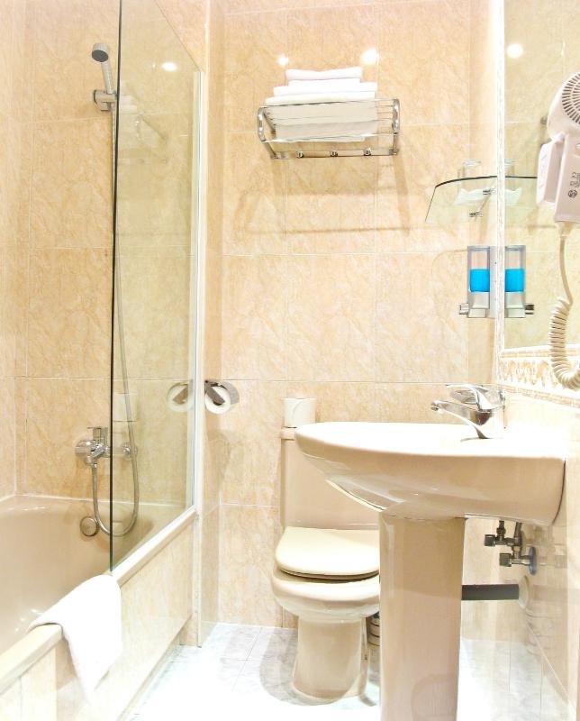 Single Room image 1