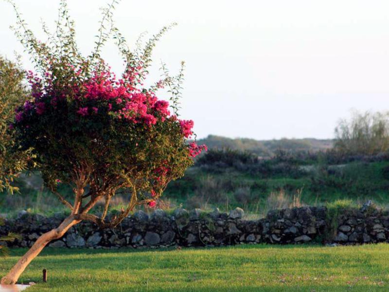 Golden Club Cabanas - image 29