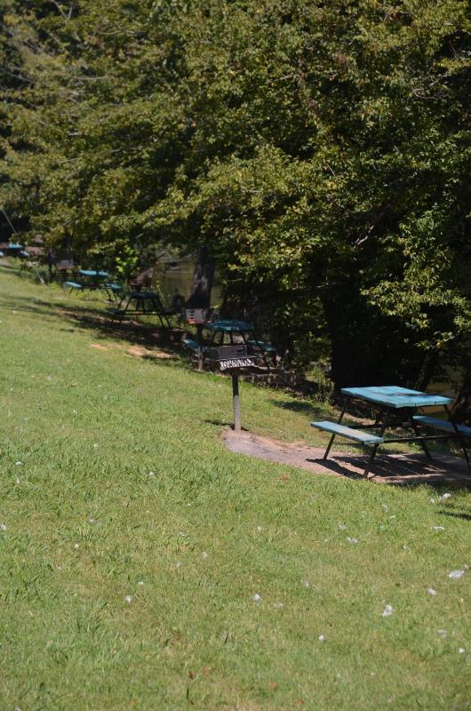 River Lodge South - image 7