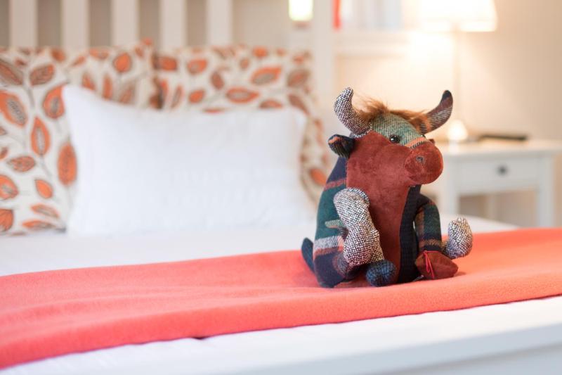 Double Room with Garden View image 1