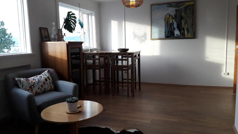 Skólavörðustígur Apartments - image 9