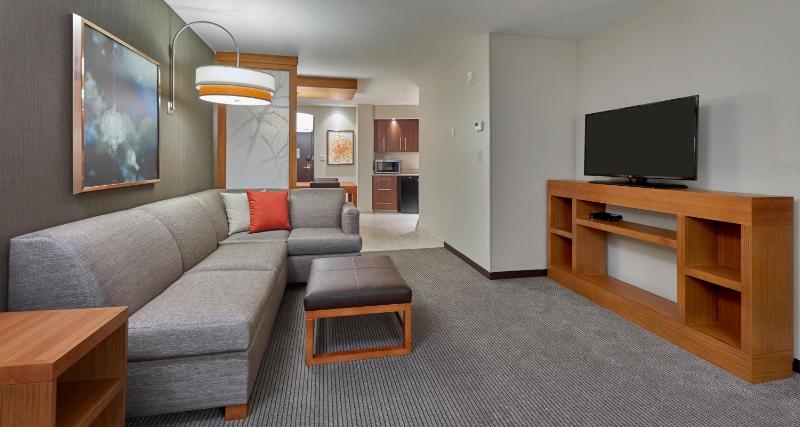 One-Bedroom King Suite with Sofa Bed image 3