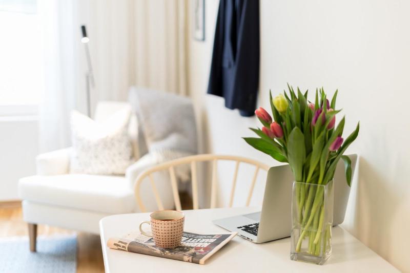 One-Bedroom Apartment image 2