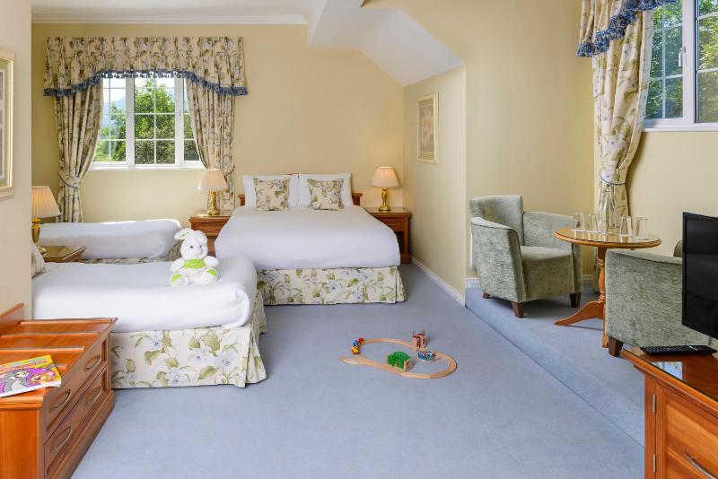 Family Room image 4