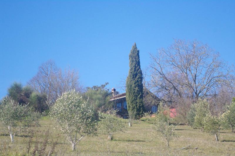 Villa with Garden View image 1