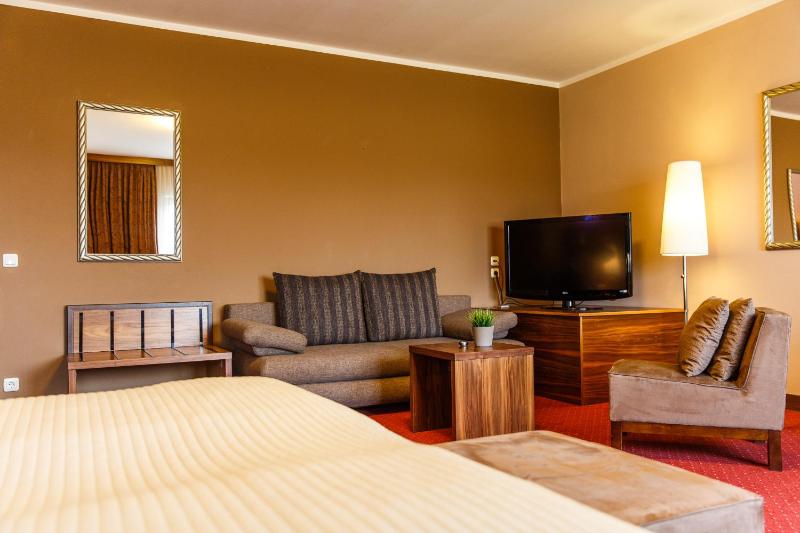 Business Double Room image 4