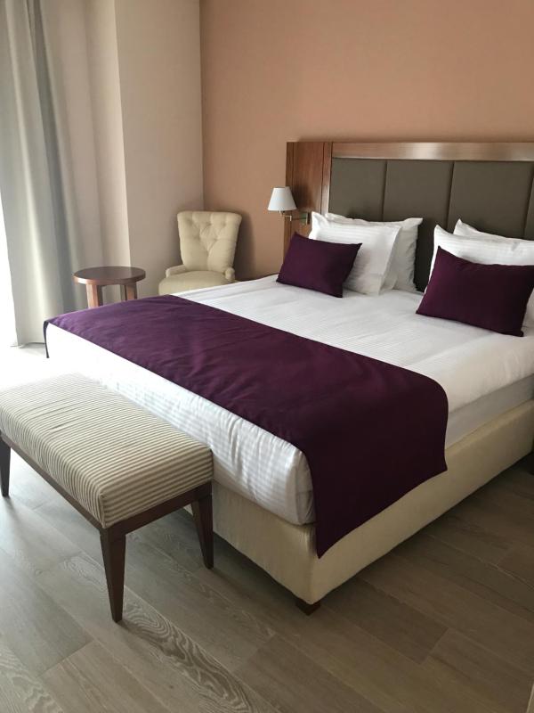 Superior Double Room  image 4