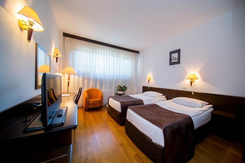 Standard Twin Room image 2