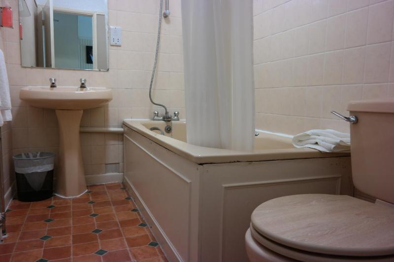 Standard Twin Room image 3