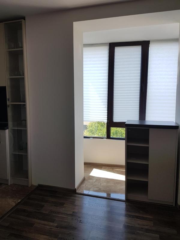 Deluxe Apartment image 4